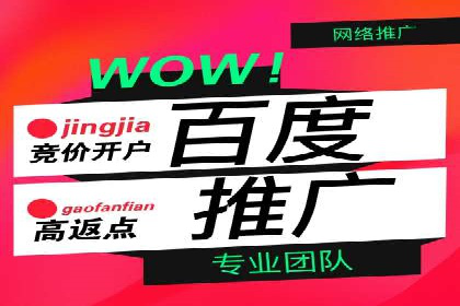百度推广代理的精准营销策略及效果展示